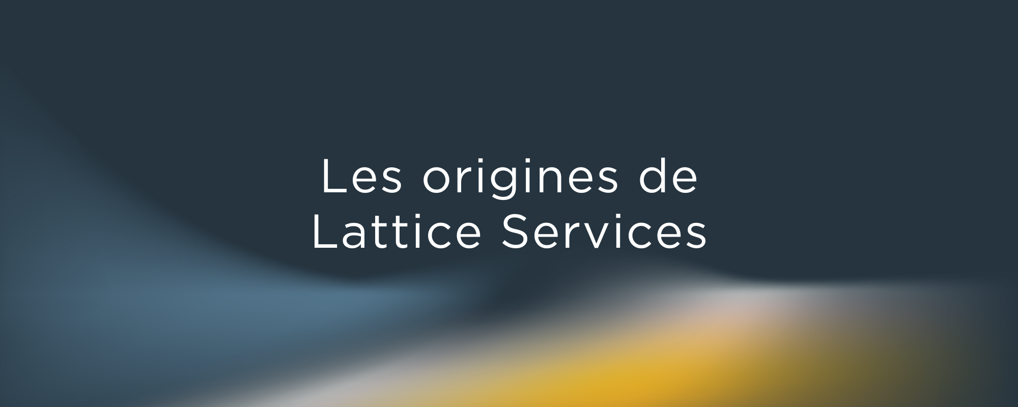 Les origines de Lattice Services